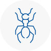 Ant Removals In Wolverhampton