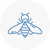 Bee Nest Removal Wolverhampton