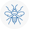 Wolverhampton Hornet Nest Removals