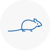 Mice Exterminators In Wolverhampton