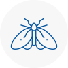 Moth Control Specialists In Wolverhampton