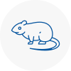 Rat Control Wolverhampton