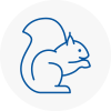 Wolverhampton Rodent Removals